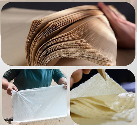 Bảng giấy hạt giống màu sắc được thấm vào làm bằng tay cho các công ty