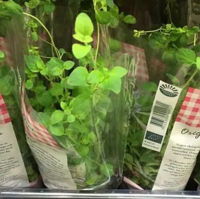 In tùy chỉnh Lớp phim BOPP rõ ràng cho bọc hoa và cây trồng