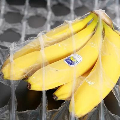 Thực phẩm và thực vật bọc LDPE phim kéo dài 500mm X 1420m với 250% kéo dài và vật liệu bền